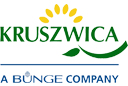 Kruszwica