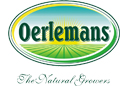 Oerlemans