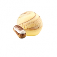 CDO 5.5L TIRAMISU ALGIDA.