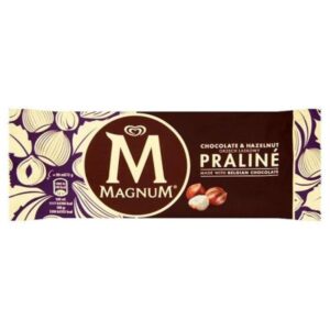 MAGNUM PRALINE(20sztx90ml) ALGIDA.