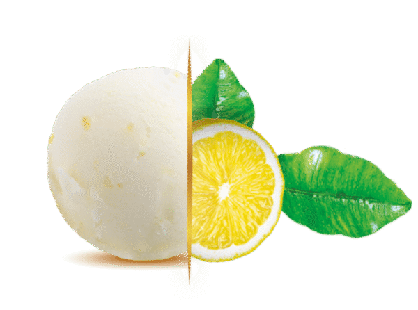 CDO 2.4L CYTRYNA (LEMON) ALGIDA.