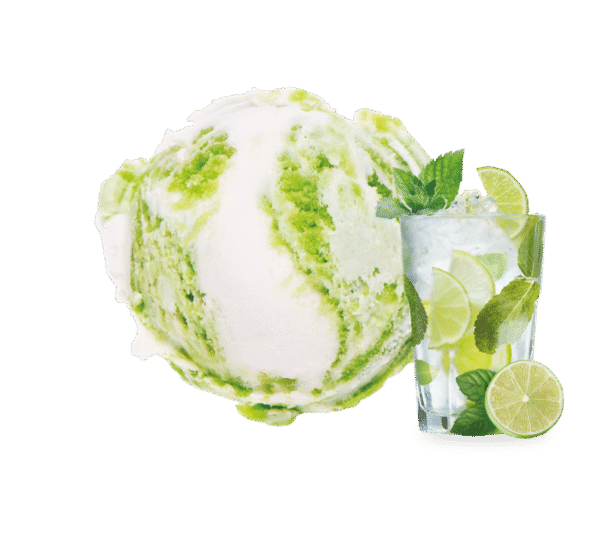 KUWETA MOJITO SORB.CYTRYNA Z NUTA MIĘTY.