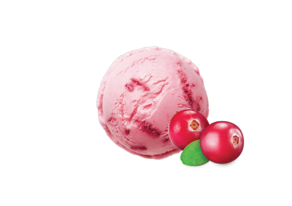 KUWETA JAK DAWNIEJ COSMOPOLITAN (Z SOS. ŻURAW.)