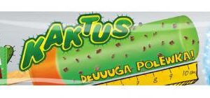 KAKTUS DŁUGA POLEWKA (40szt).