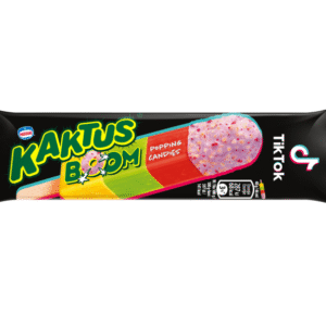 KAKTUS BOOM FIOLET. (60szt).