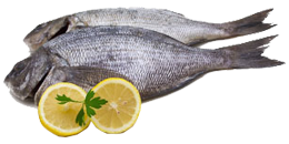 Ryby i owoce morza