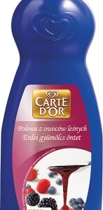 CARTE D'OR POLEWA OWOC LEŚNY 1KG