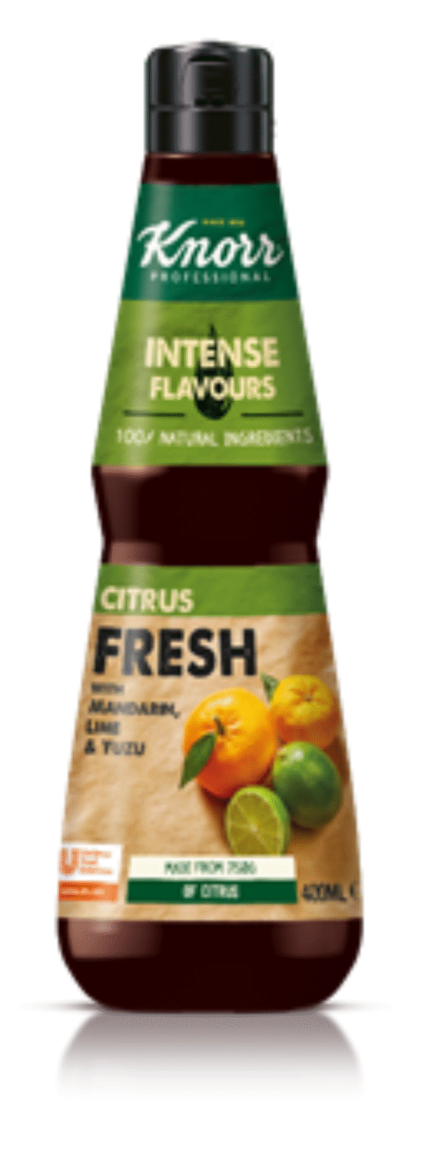 KNORR PROF ESENCJA CYTRUS 6x400 ML